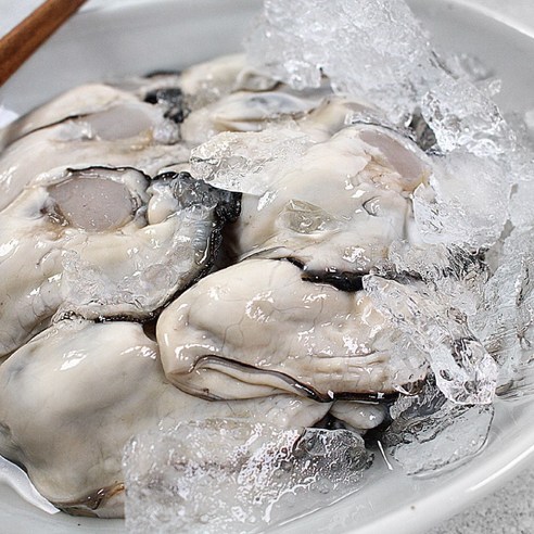 통영생굴 (제철수산물)