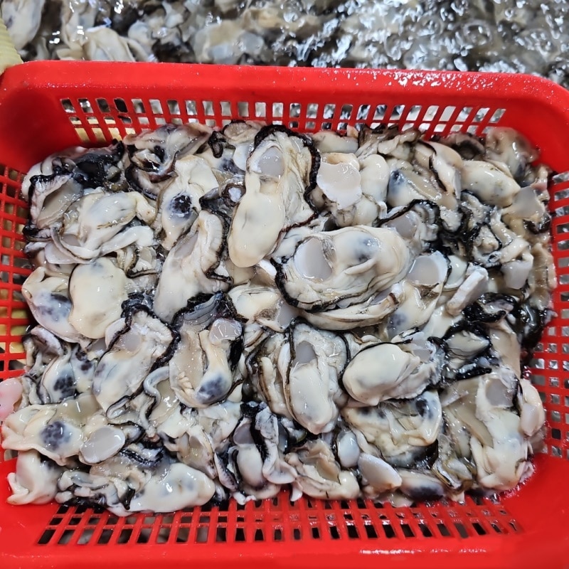 통영생굴 (제철수산물)
